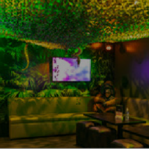 Jungle
